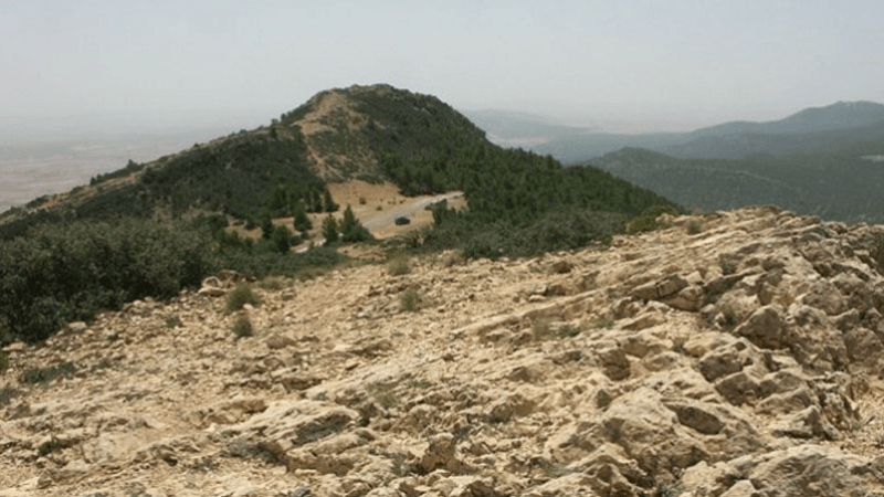 Kasserine: Découverte d’un nouveau site romain