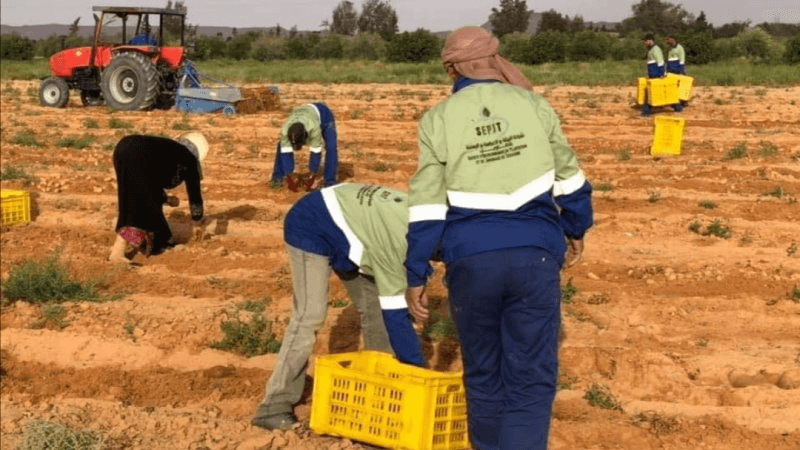 النائب البوبكري: قدمنا مطالب أعوان شركة البيئة لرئاسة الحكومة