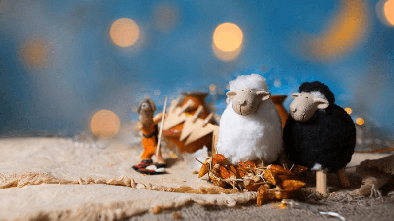 فلكيّا.. عيد الأضحى يوم 6 جوان