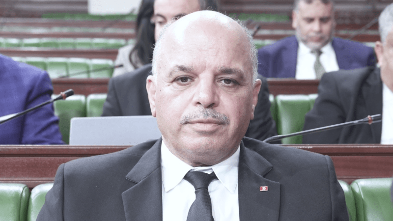وزير النقل: تمسكنا بإدراج كل أصناف رخص السياقة في الاتفاق مع إيطاليا