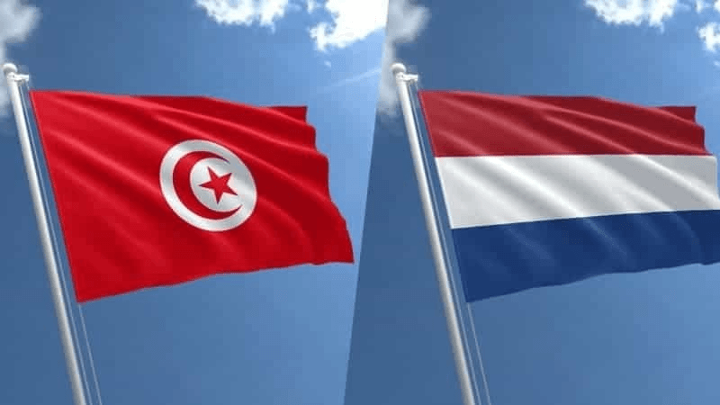فتح باب الترشّح أمام الطلبة التونسيين لبرنامج المنح الدراسية بهولندا