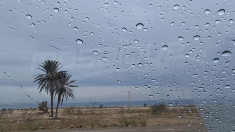 خلايا رعدية محلية مرفوقة بأمطار ليلا