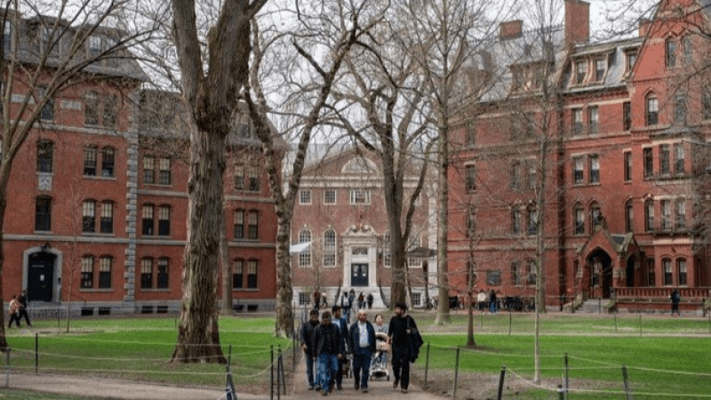 Étudiants étrangers : Harvard contre Trump