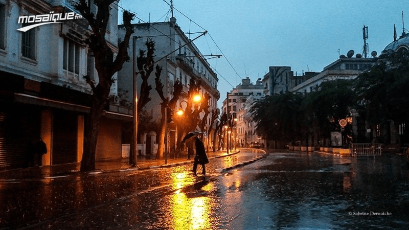 أمطار متفرقة الليلة