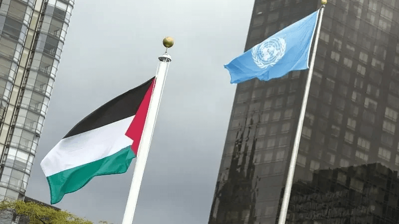 في خطوة رمزية.. الصحة العالمية تسمح برفع علم فلسطين لأول مرة