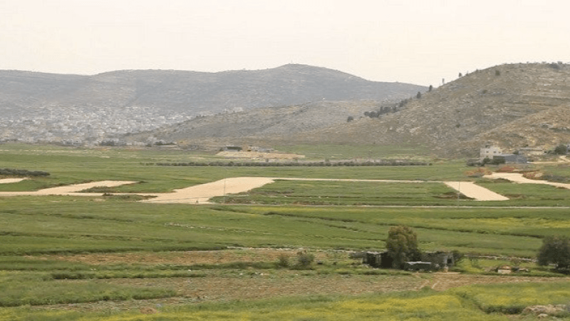 القصرين: قرعة لتمكين أصحاب شهادات عليا من مقاسم فلاحية