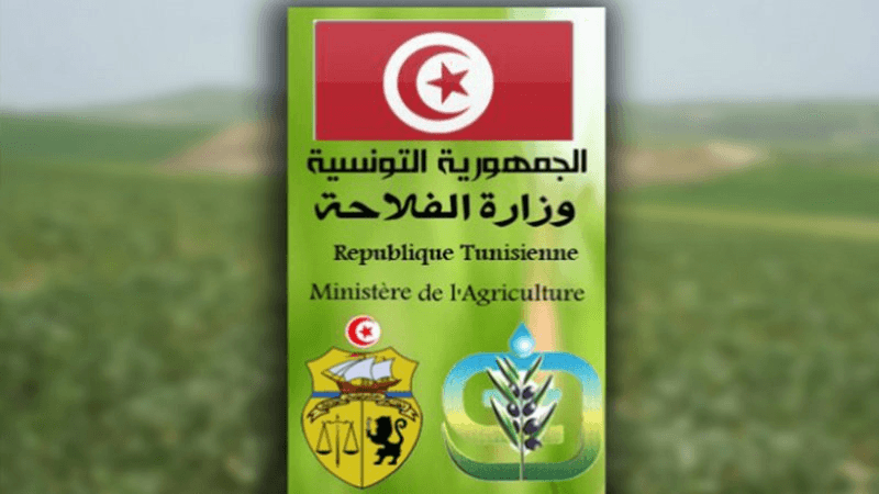 وزارة الفلاحة: إجراءات جديدة تهمّ مربي الماشية ومزارعي الأعلاف