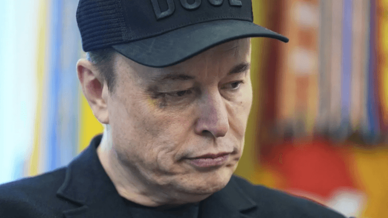 Musk apprend à son enfant à frapper au visage... Il en fait les frais
