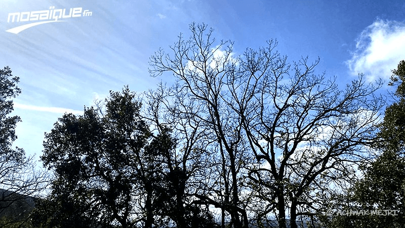 La météo du dimanche 1er juin 2025