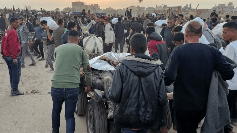 En quête d'aide alimentaire... Au moins 22 Gazaouis abattus par Tsahal