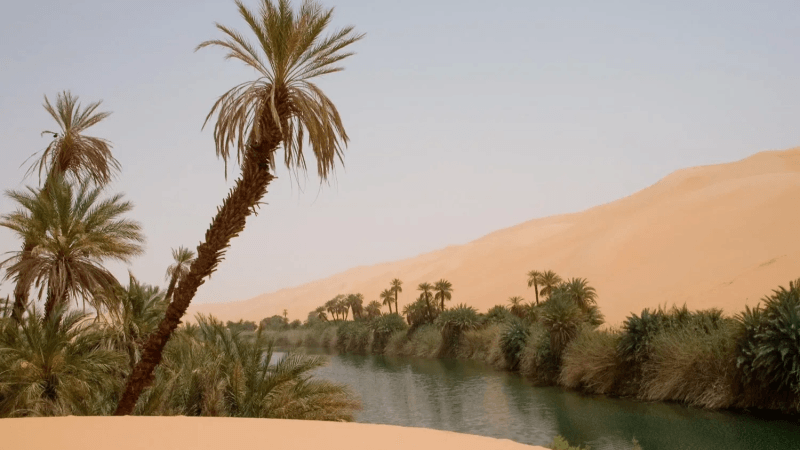 مصر تعتزم بناء مدينة في الصحراء تجري بها مياه النيل
