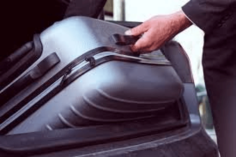 Inde : un homme arrêté avec 40 vipères dans ses bagages