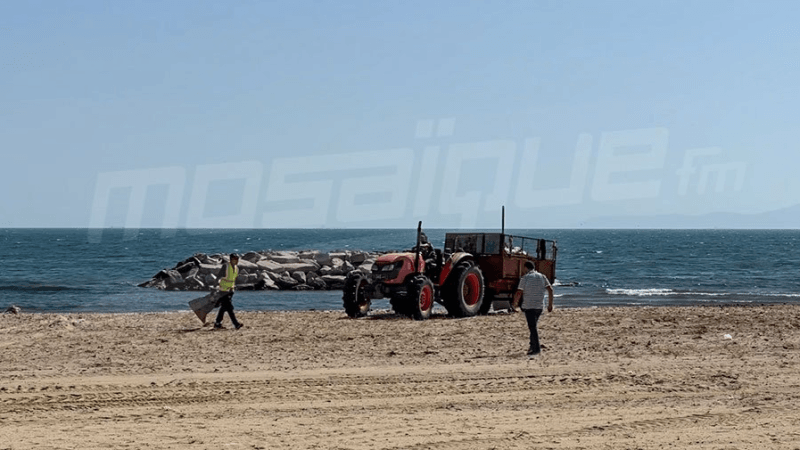 وزير البيئة: نعمل على دفع مشاريع بيئية معطّلة بولاية بن عروس