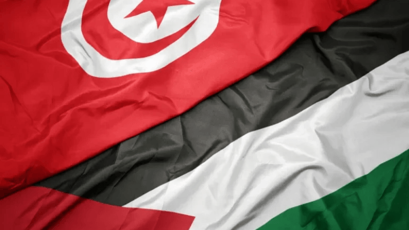 الإثنين.. 'قافلة الصمود' تنطلق من تونس نحو رفح لنقل مساعدات إلى غزّة