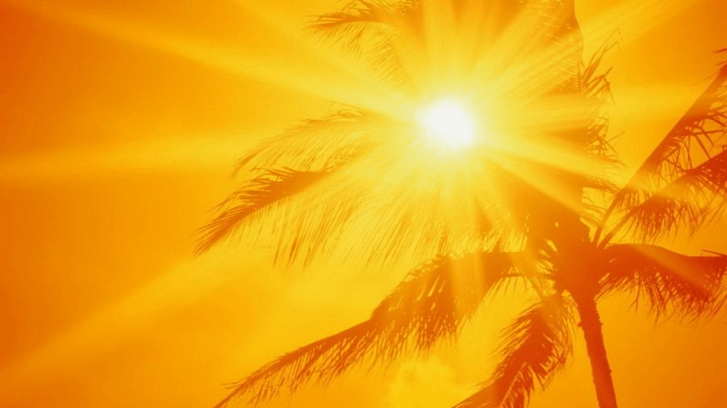 Canicule: Comment éviter le coup de chaleur ?