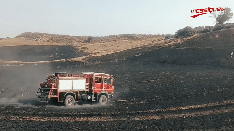 باجة: اندلاع حريق بحقل للحبوب