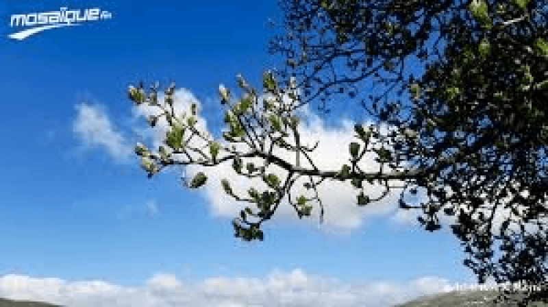La météo du samedi 28 juin 2025