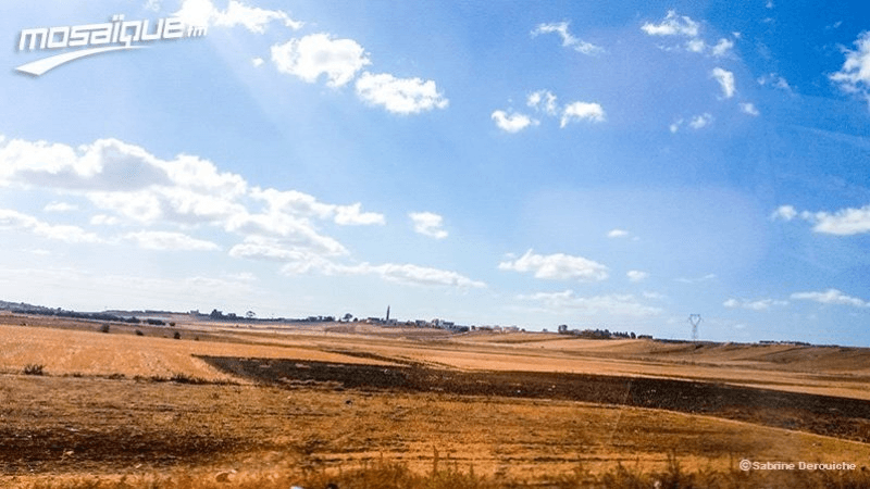 La météo du samedi 5 juillet 2025