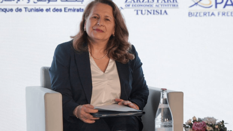 أول اجتماع للجنة الأمن الطاقي: وزيرة الصناعة تدعو لتنويع مصادر الطاقة