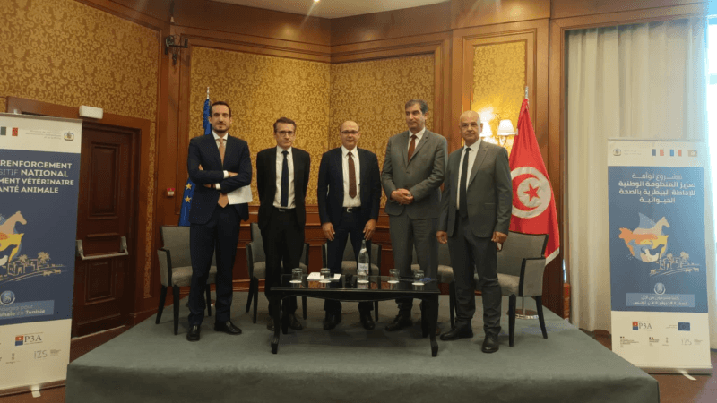 اختتام برنامج تونسي أوروبي لدعم صحة الحيوان وتعزيز دور البياطرة