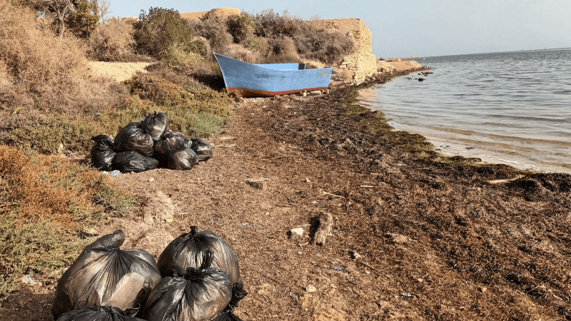 جربة دون بلاستيك.. الحملة متواصلة
