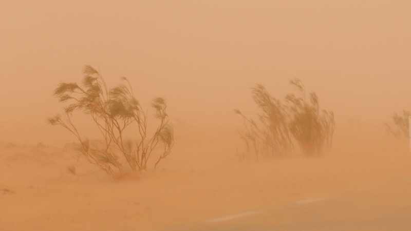 Impressionnante tempête de sable à Tozeur et Kébili