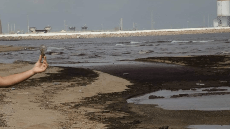 Pollution marine  : les eaux usées et les déchets industriels en cause