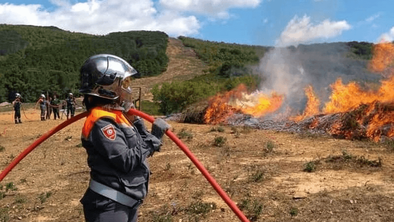 Protection civile: 137 incendies maîtrisés en 24 heures