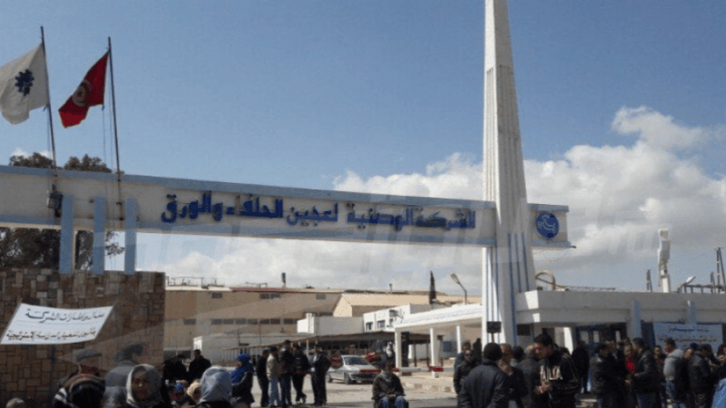 معمل الحلفاء يستكمل انتاج ورق الكتاب المدرسي ويشرع في توزيع ورق الكراس