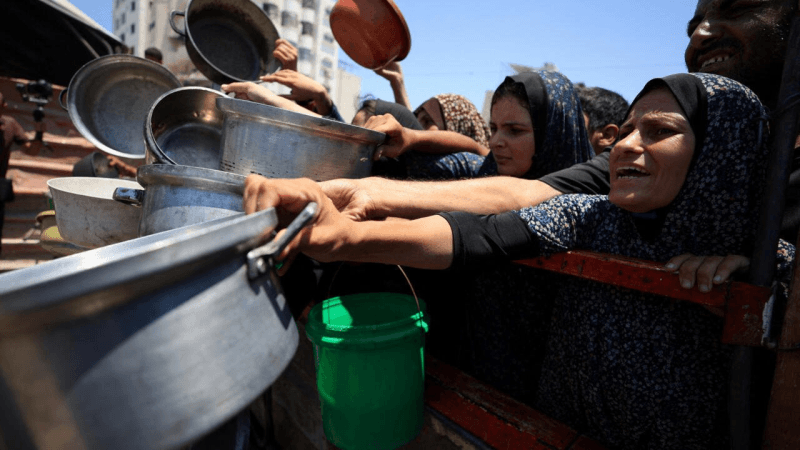 100 منظمة غير حكومية تدق ناقوس الخطر: مجاعة جماعية تُهدّد غزة