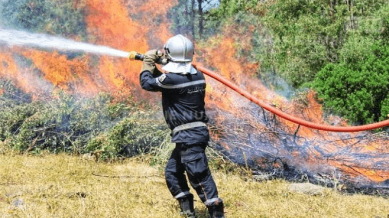 Siliana : Incendie maîtrisé au mont Dhara