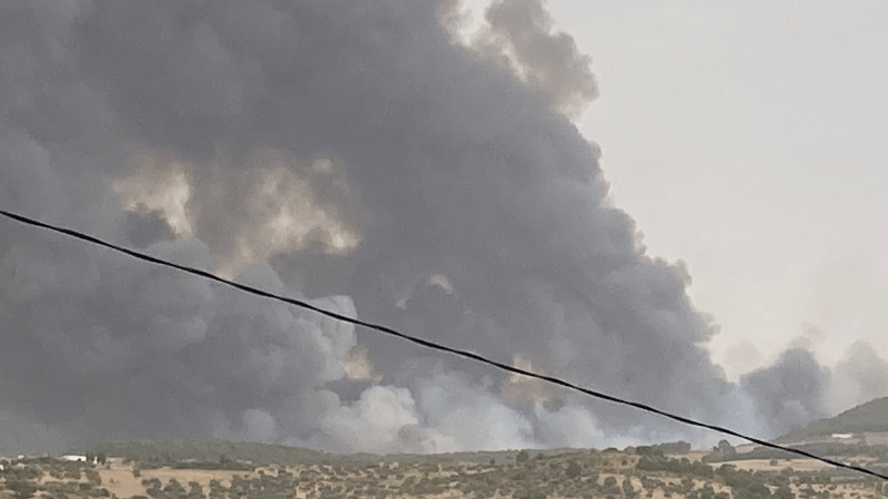 سليانة: عودة اشتعال النيران في جبل بلوطة