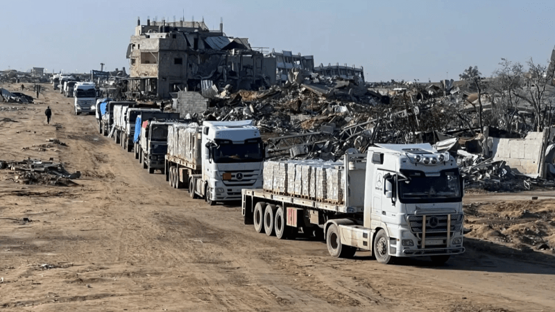 مصر تعلن دخول 117 شاحنة مساعدات إلى غزة