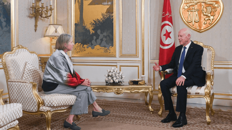 رئيس الجمهورية يستقبل سفيرة كندا بتونس بمناسبة انتهاء مهامها