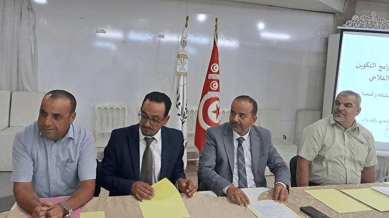 رئيس اتحاد الفلاحة: انطلاق الاستعدادات لجني صابة الزيتون