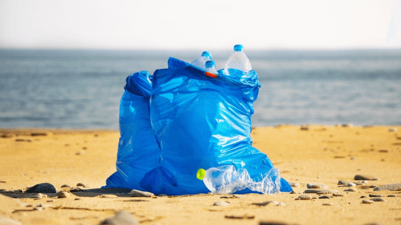 8 000 m³ de déchets jetés chaque jour sur les plages !