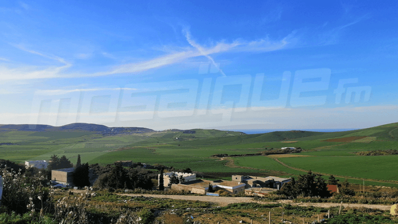 450 بحثا علميا: الطبيعة دواء نفسي خلال ربع ساعة فقط