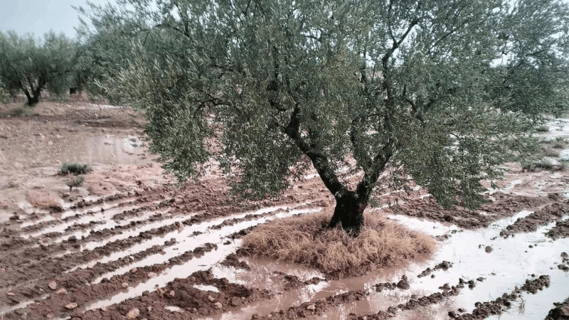 أمطار غزيرة في عدد من معتمديات سيدي بوزيد