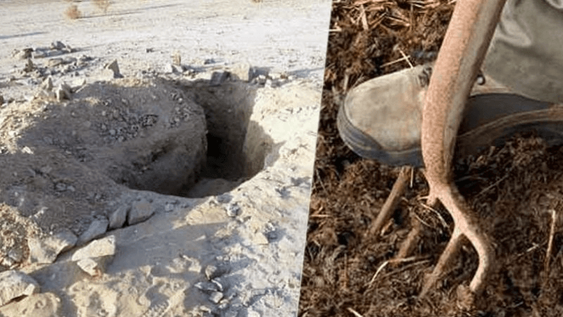 Mdhilla: Ils fouillaient sur un site archéologique...