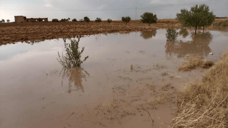 Pluies enregistrées  des 24 dernières heures