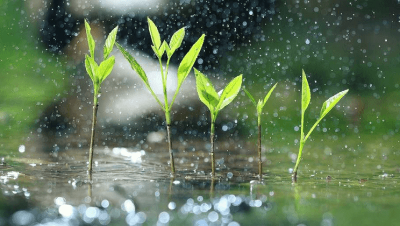خلايا رعدية وأمطار غزيرة بعد ظهر اليوم في هذه المناطق