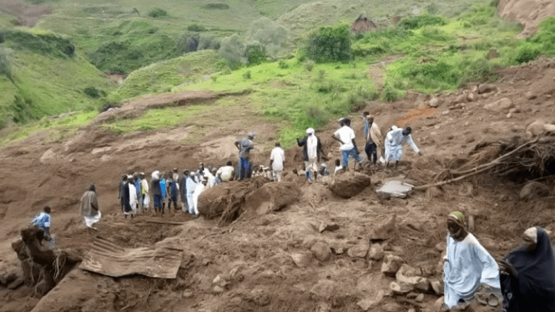 السودان: أكثر من ألف قتيل في انزلاق أرضي بإقليم دارفور