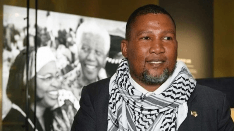 Mandla Mandela en Tunisie pour la Flottille  Soumoud vers Gaza