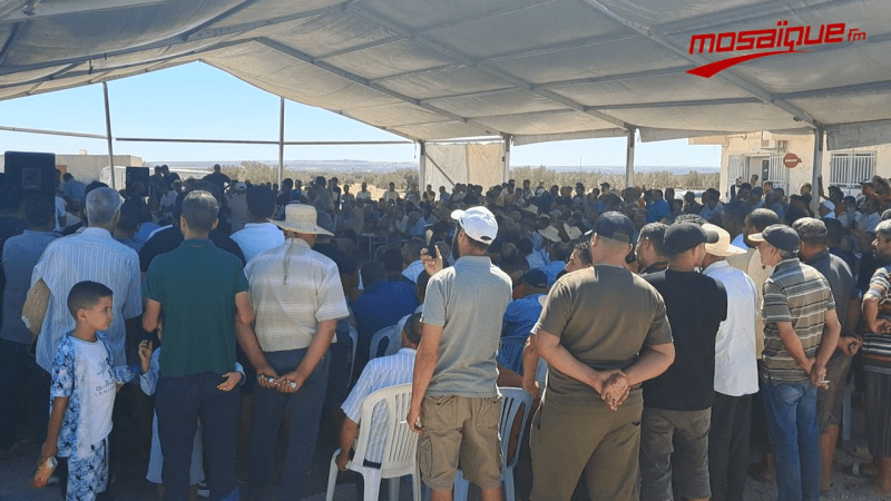 القيروان: اجتماع فلاحي واسع حول قطاع الزيتون بمنطقة 74