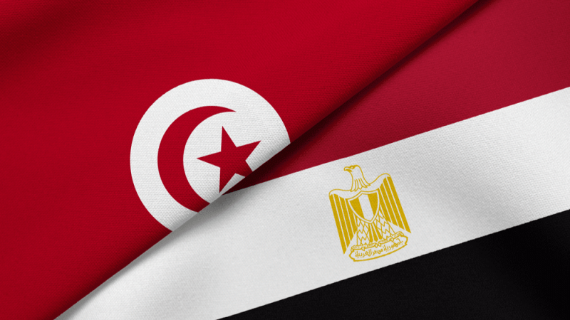 سفارة تونس بالقاهرة: تسهيل إجراءات حصول المصريين على تأشيرات