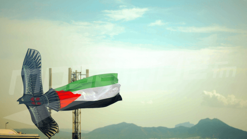 القيروان: إضراب جوع بمناسبة اليوم العالمي لمساندة غزّة