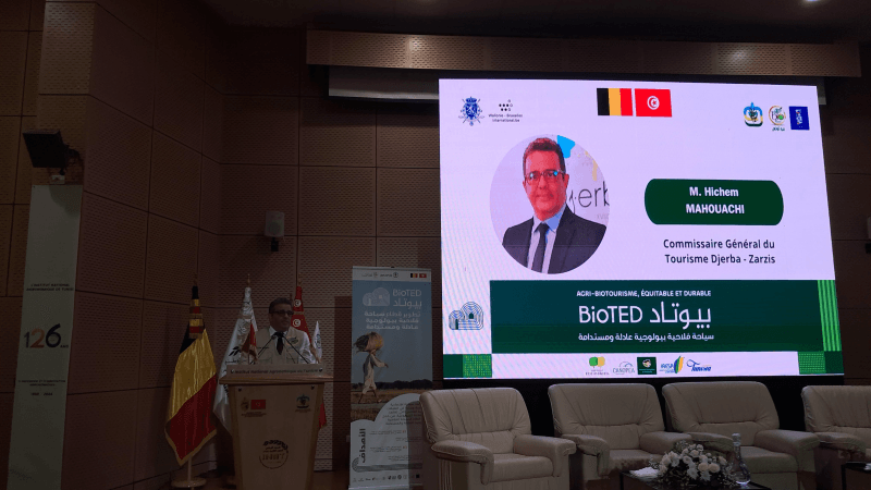 مندوب السياحة بجربة-جرجيس: تونس تستقطب نوعًا جديدًا من السياح