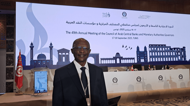 برعي الصديق: تحديات جسيمة تهدّد استقرار البنوك العربية