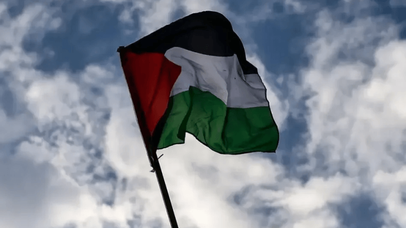 اسكتلندا: يجب وقف بيع الأسلحة لإسرائيل وفرض عقوبات دعما لفلسطين