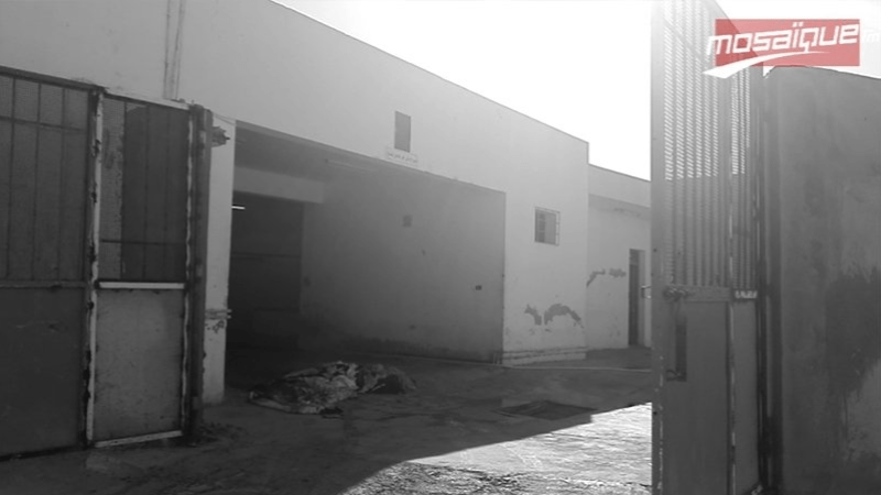 Sousse : Quatre arrestations pour abattage de moutons malades